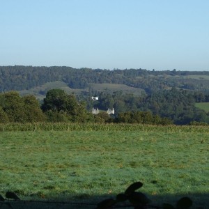 Surrey Hills in the October sun 