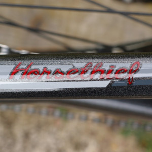 lSalsa Horsethief chainstay logo