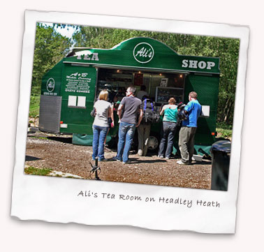 Ali's Tea Room on Headley Heath