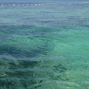 Cartegena coral sea Cartegena coral sea
