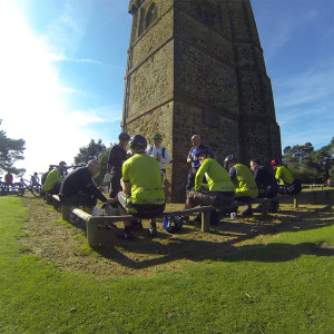 Moles at a sunny Leith Hill Tower