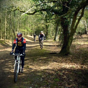 The Moles in the woods near Shere