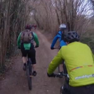 Moles head to Newlands Corner