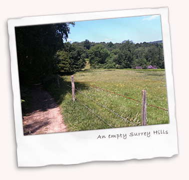 Empty Surrey Hills mid-week