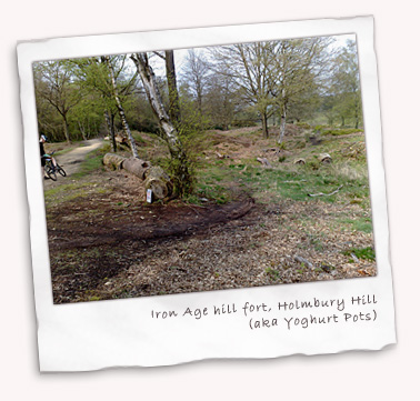 Iron Age Hill Fort, Holmbury Hill (aka Yoghurt Pots)