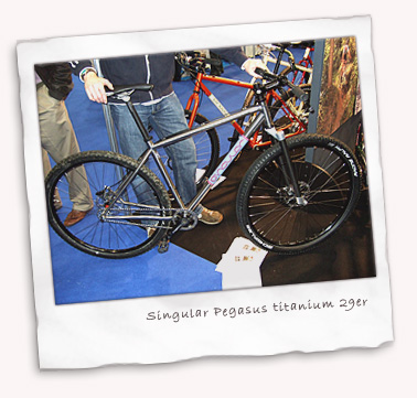 Singular Cycles Pegasus titanium singlespeed