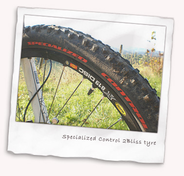 Specialized Storm Control 2Bliss (tubeless) tyres close up