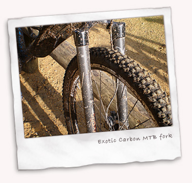 Exotic Carbon Rigid MTB fork