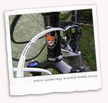 White Goodridge braided brake hoses