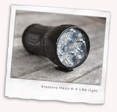 Exposure MaXx-D 4 LED light close up