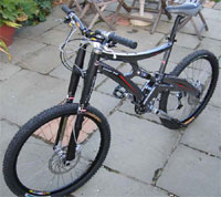 Whyte 46 in Simon's garden
