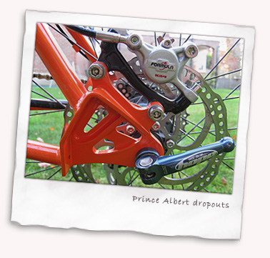 dialled bikes Prince Albert dropouts