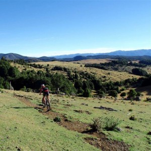 Amanda riding the Canaan Downs, New Zealand