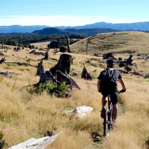 Darren riding through Log City on the Rameka Trail, New Zealand