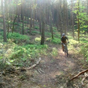 Stu in the woods