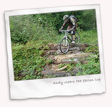 Andy clears the fallen logs