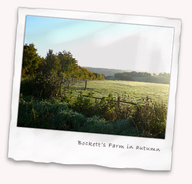 Bockett's Farm in autumn