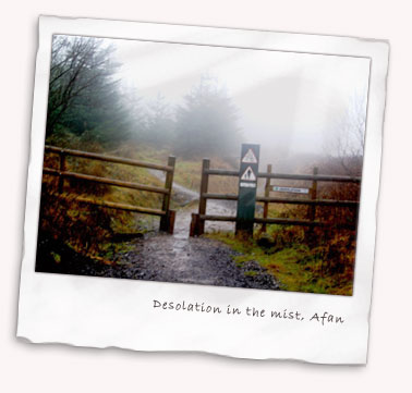 Desolation in the mist, Afan