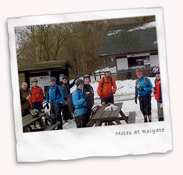The moles at the Reigate Tea Room