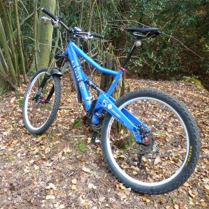 Orange Five in the woods
