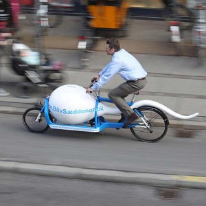 Danish BULLITT sperm bike
