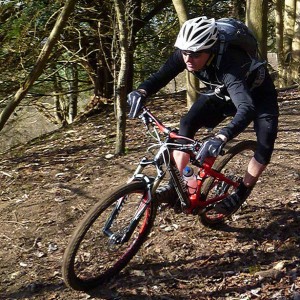 Sunny rider