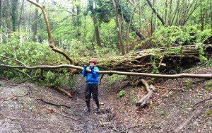 Another new trail obstacle!