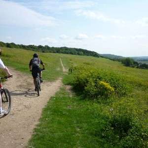 Rob and Dave approaching Newlands Corner from St. Martha's Hill